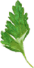 Петрушка